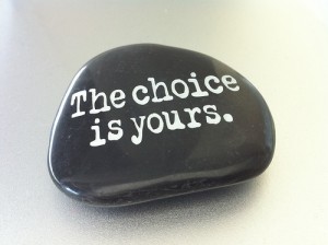 the-choice-is-yours2-300x224